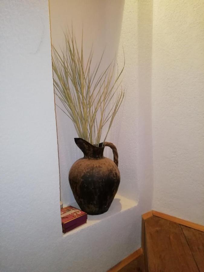 Nice Room - Centar 茨雷斯 外观 照片